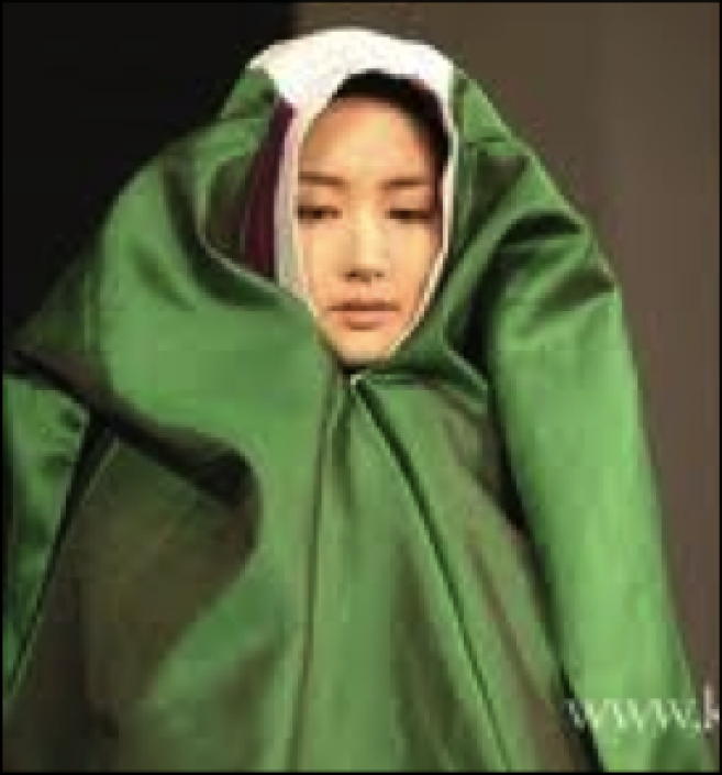 korean cloak